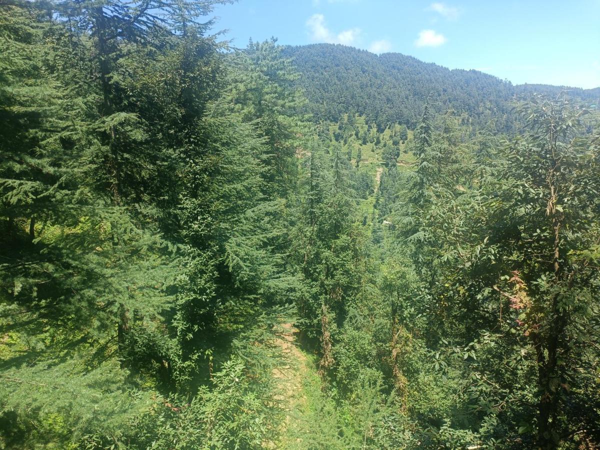 Peace Holiday Homestay Chail Exterior foto