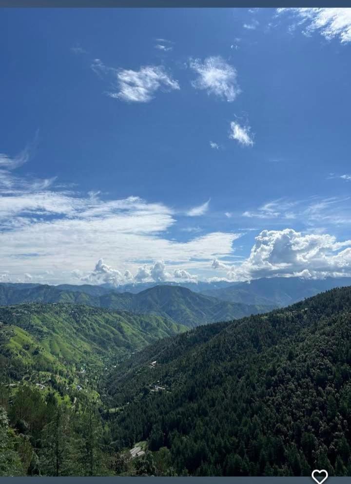 Peace Holiday Homestay Chail Exterior foto